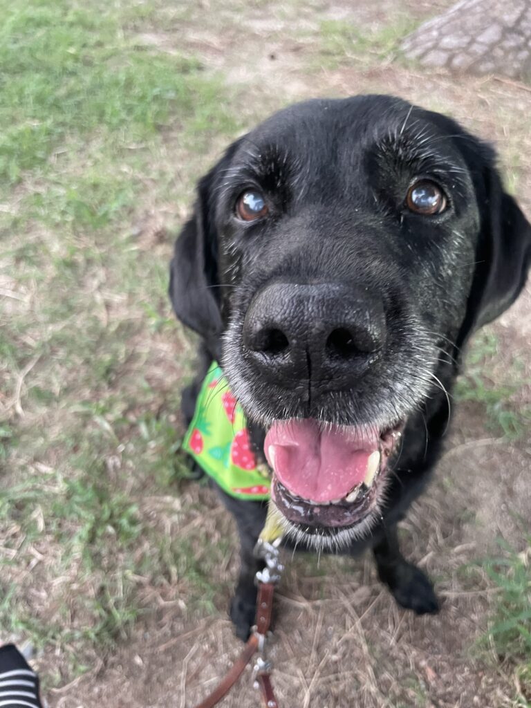 相変わらず、が一番いい^_^